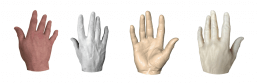 Hand 3D Scanning